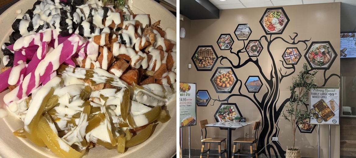 Olive Tree Mediterranean Cuisine